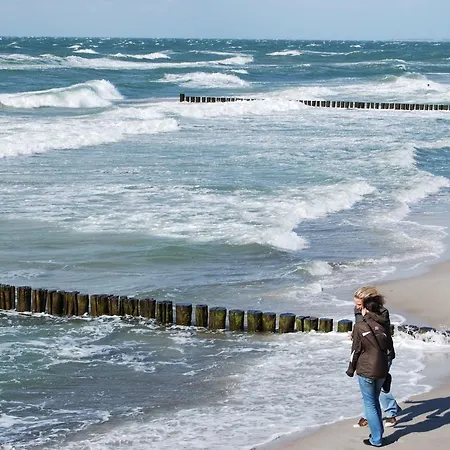 Mit Hafenblick Born